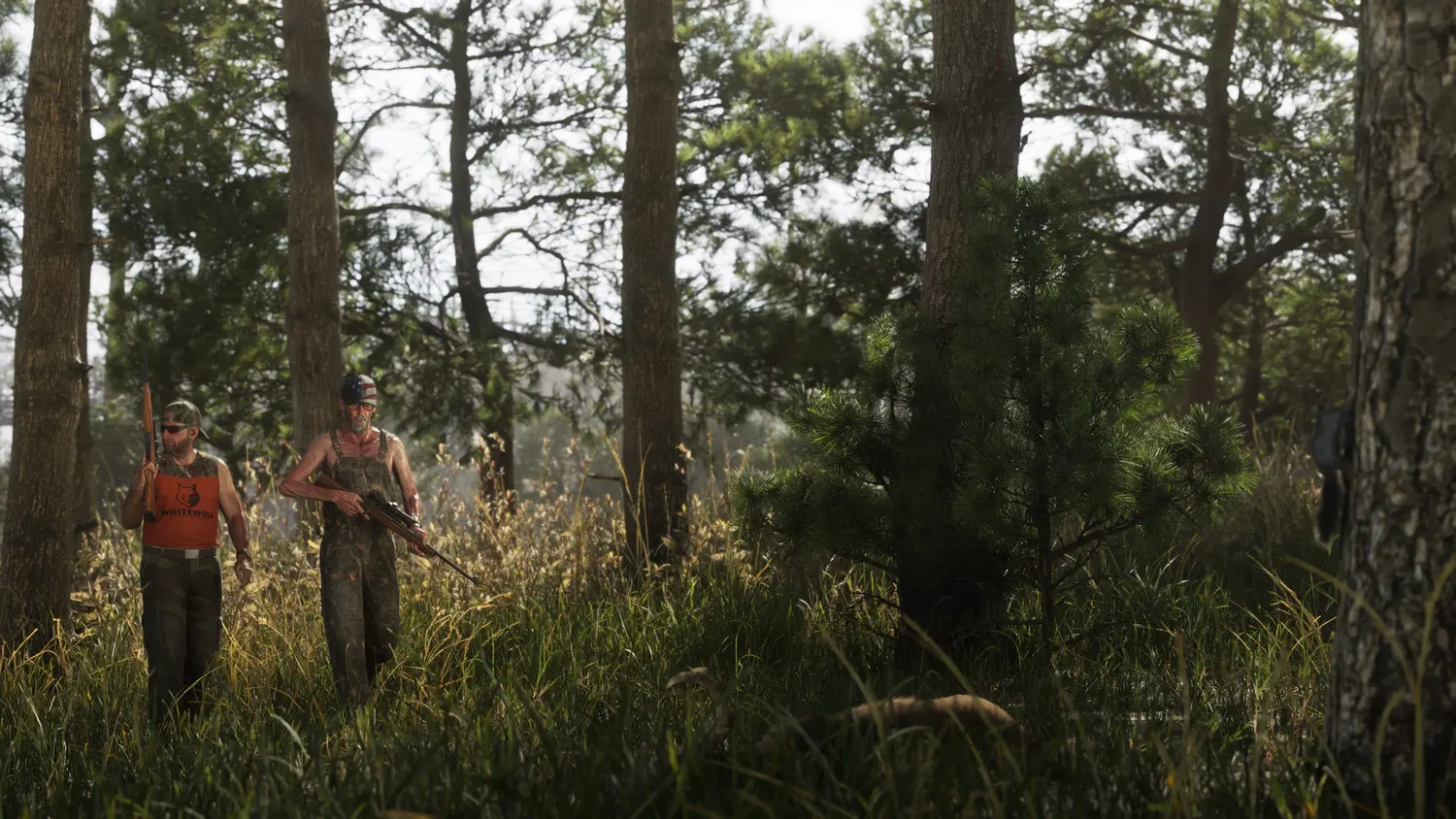 The dense, swampy wilderness of Mount Kalaga National Park in GTA 6, all forest, wetland and open sky